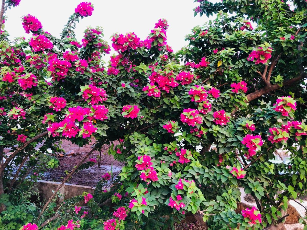 Royal Meadows - Igatpuri Bungalow C Luaran gambar